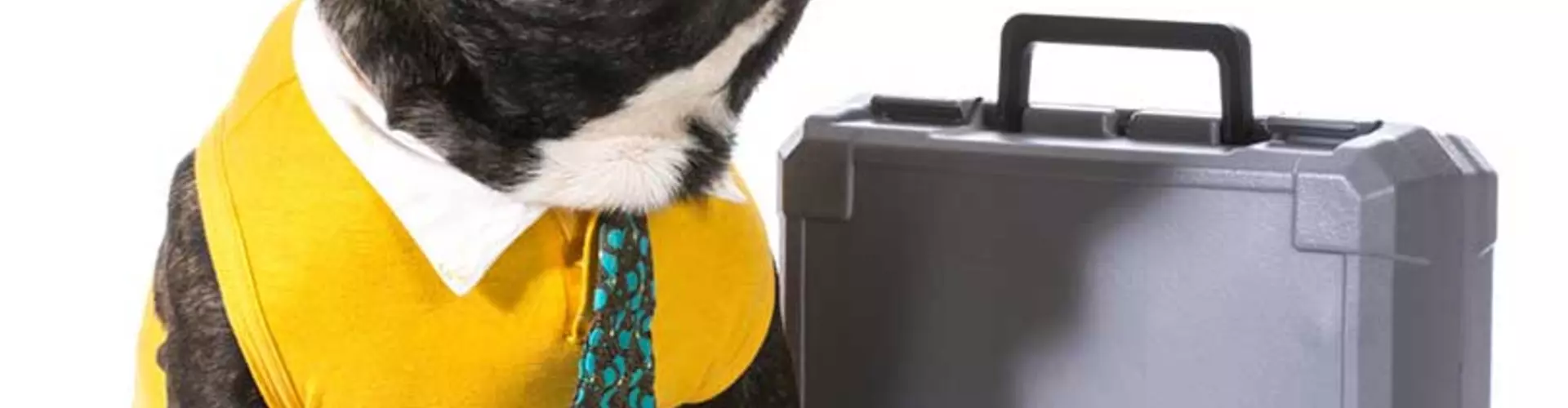 5 Major Don'ts for Your First Day of Work 5 Major Don'ts for Your First Day of Work
