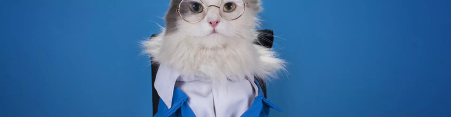 22 Signs Your Boss Hates You 22 Signs Your Boss Hates You