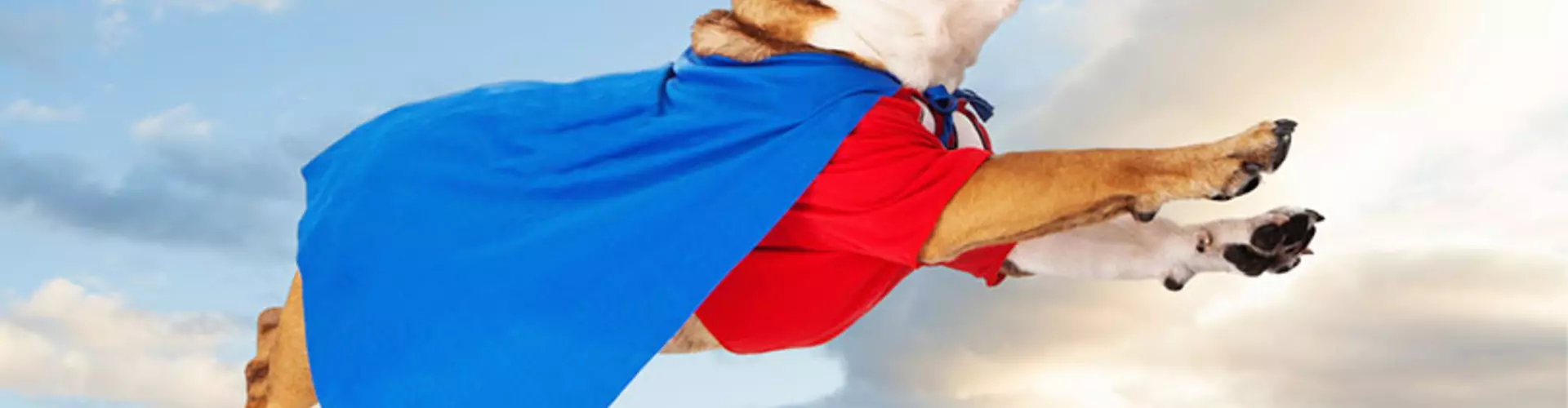 Don't Be a Hero! Take Your Sick Days! Don't Be a Hero! Take Your Sick Days!