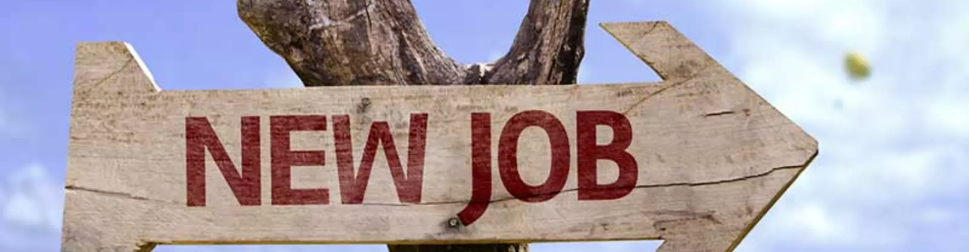 Find Your New Job In 6 Steps Find Your New Job In 6 Steps