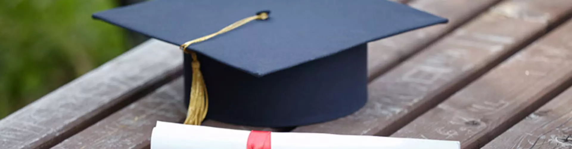 7 Highest Paying Bachelor Degrees 7 Highest Paying Bachelor Degrees