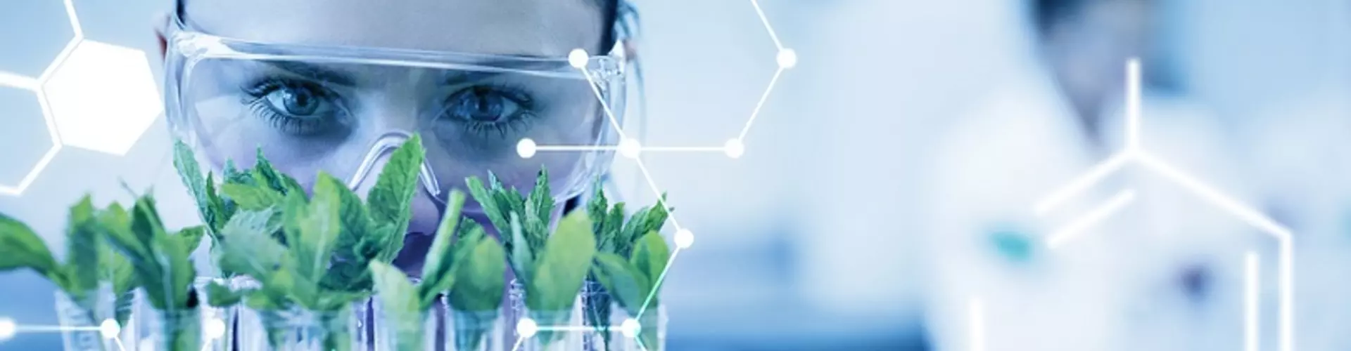 7 Strange But (Probably) True Jobs of the Future 7 Strange But (Probably) True Jobs of the Future