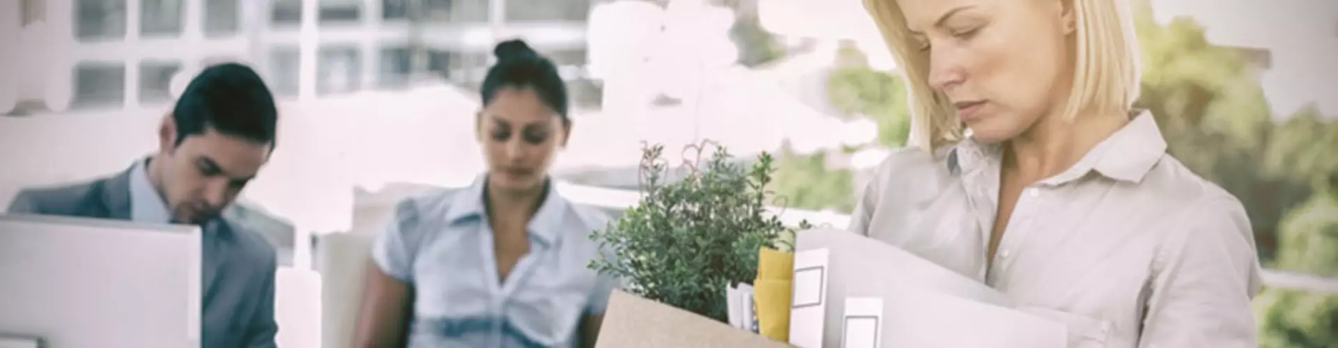 Rebuild your career after job loss Rebuild your career after job loss