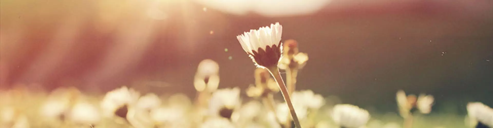 5 Reasons Why Summer Job Hunting Will Get You a Job 5 Reasons Why Summer Job Hunting Will Get You a Job