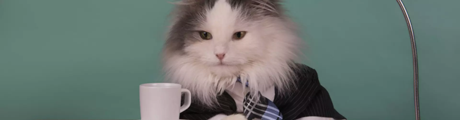 5 WARNING Signs You Have a Terrible Boss 5 WARNING Signs You Have a Terrible Boss