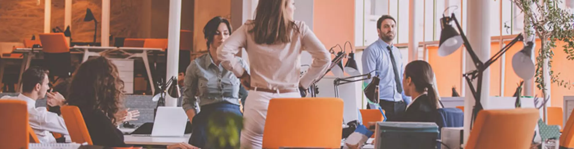 Top 5 Jobs in 2017 That Don't Require a College Degree Top 5 Jobs in 2017 That Don't Require a College Degree